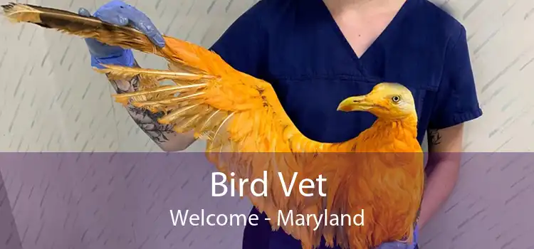 Bird Vet Welcome - Maryland
