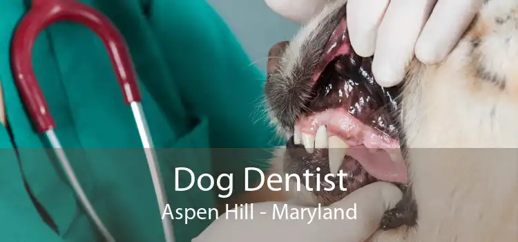 Dog Dentist Aspen Hill - Maryland