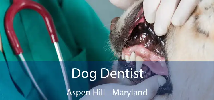 Dog Dentist Aspen Hill - Maryland