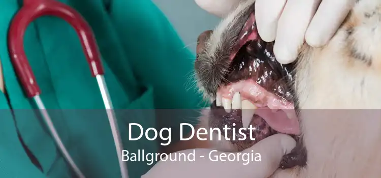 Dog Dentist Ballground - Georgia