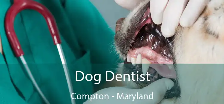 Dog Dentist Compton - Maryland