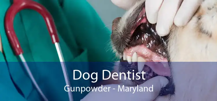 Dog Dentist Gunpowder - Maryland