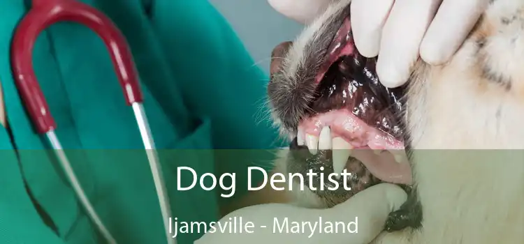 Dog Dentist Ijamsville - Maryland