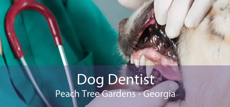 Dog Dentist Peach Tree Gardens - Georgia