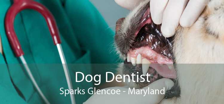 Dog Dentist Sparks Glencoe - Maryland