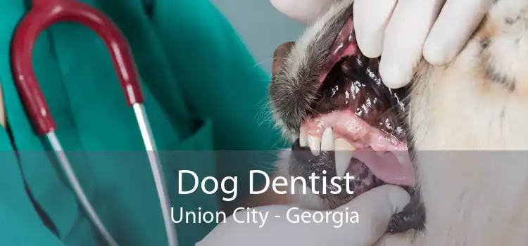 Dog Dentist Union City - Georgia