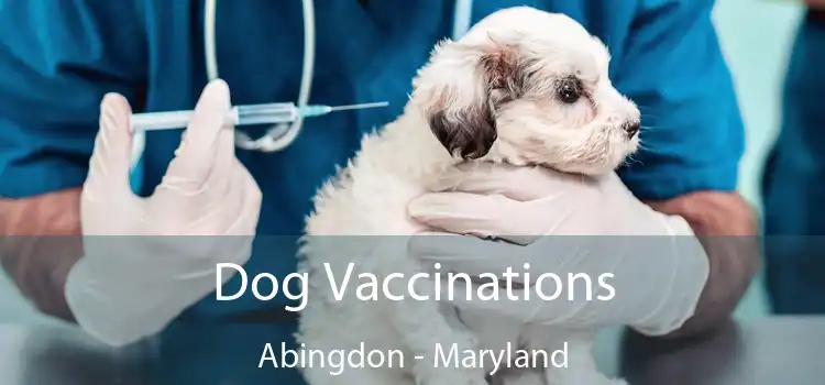 Dog Vaccinations Abingdon - Maryland