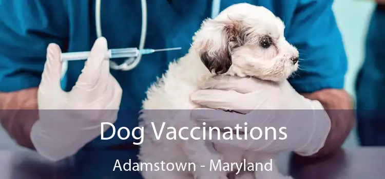 Dog Vaccinations Adamstown - Maryland