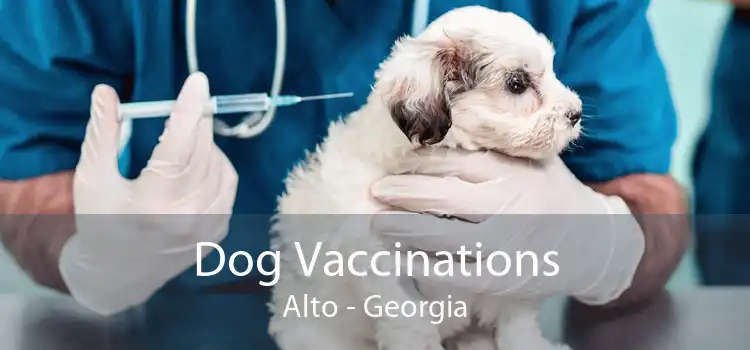 Dog Vaccinations Alto - Georgia