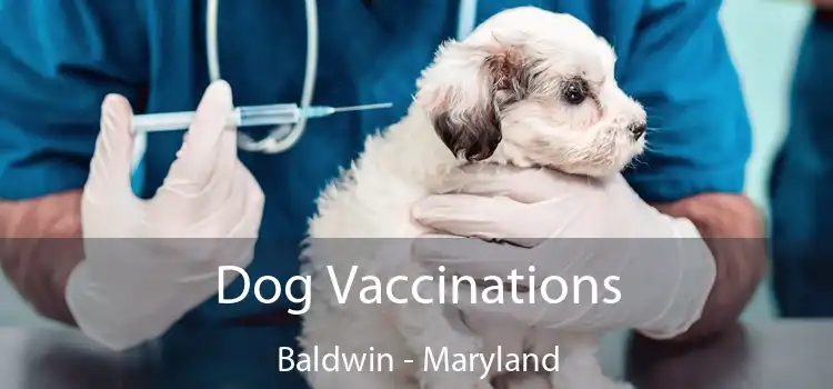 Dog Vaccinations Baldwin - Maryland