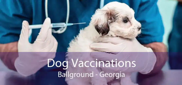 Dog Vaccinations Ballground - Georgia