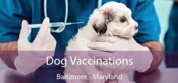 Dog Vaccinations Baltimore - Maryland