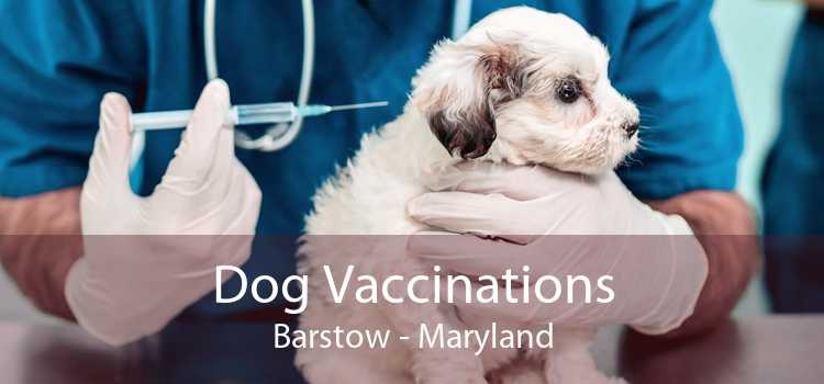 Dog Vaccinations Barstow - Maryland