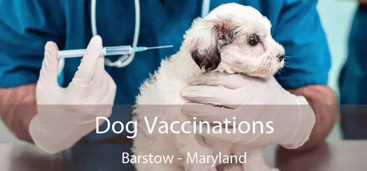 Dog Vaccinations Barstow - Maryland