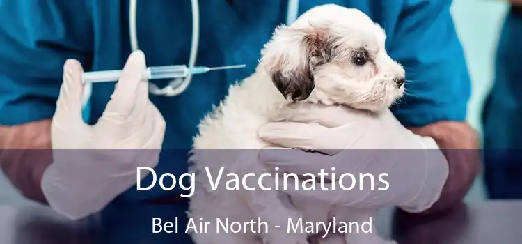 Dog Vaccinations Bel Air North - Maryland