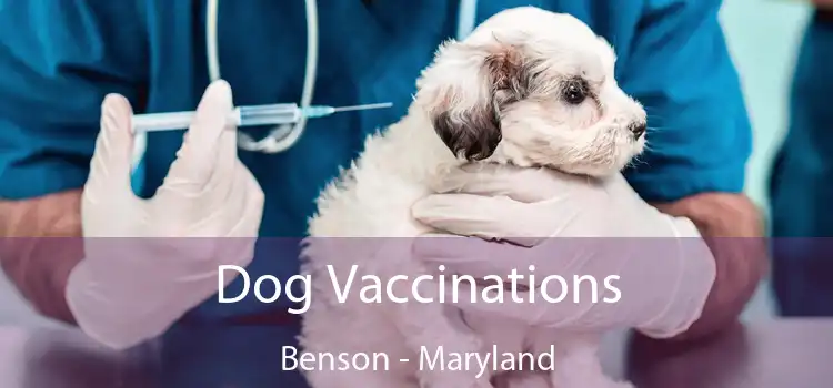 Dog Vaccinations Benson - Maryland