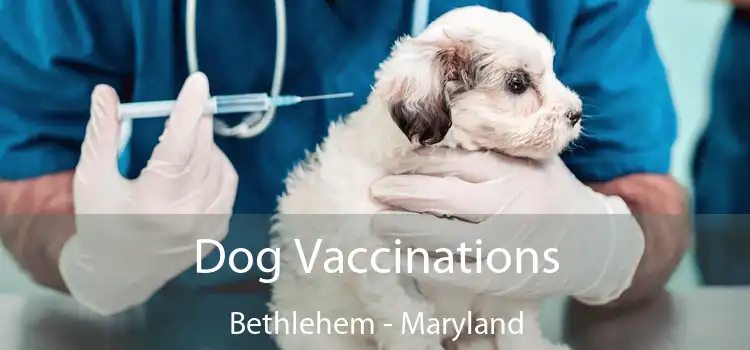 Dog Vaccinations Bethlehem - Maryland