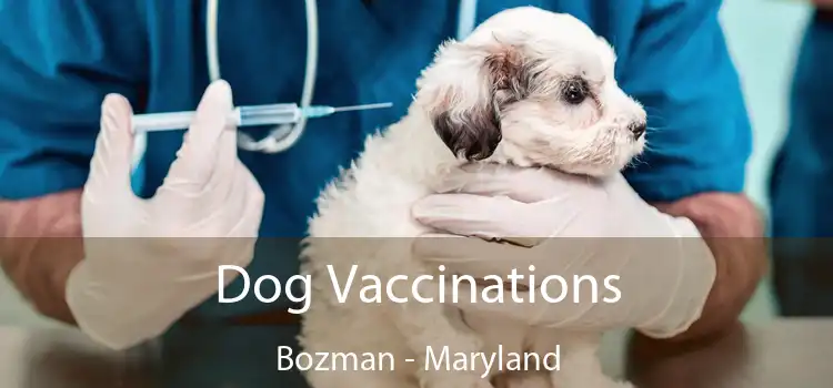 Dog Vaccinations Bozman - Maryland