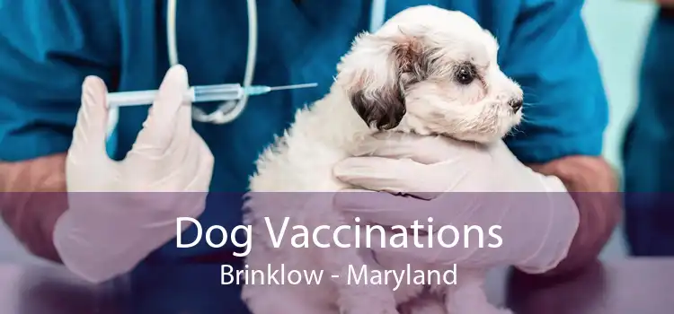 Dog Vaccinations Brinklow - Maryland