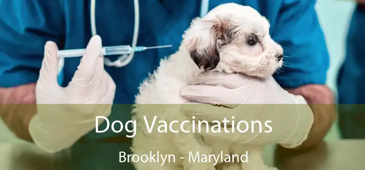 Dog Vaccinations Brooklyn - Maryland