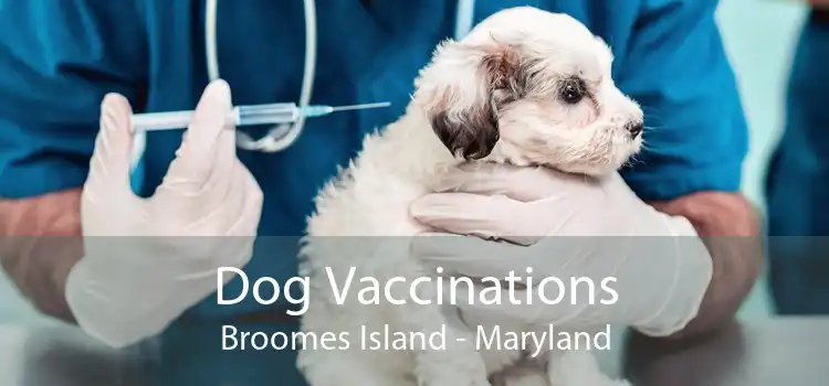 Dog Vaccinations Broomes Island - Maryland