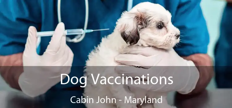 Dog Vaccinations Cabin John - Maryland