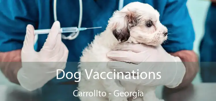 Dog Vaccinations Carrollto - Georgia