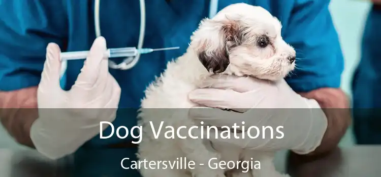 Dog Vaccinations Cartersville - Georgia