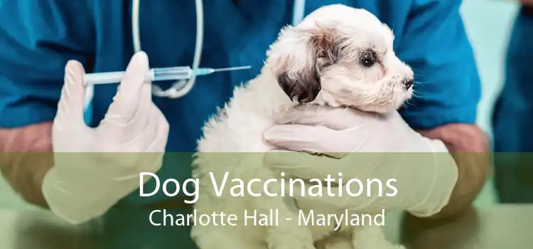 Dog Vaccinations Charlotte Hall - Maryland