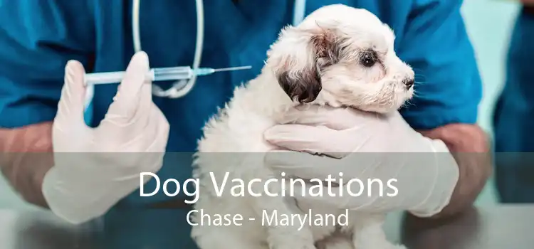 Dog Vaccinations Chase - Maryland