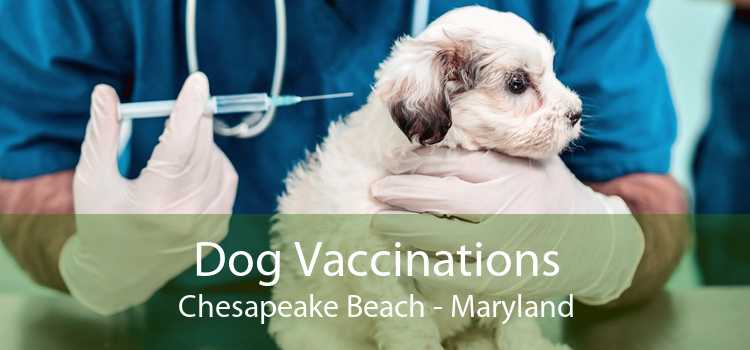 Dog Vaccinations Chesapeake Beach - Maryland
