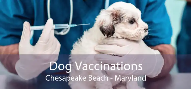 Dog Vaccinations Chesapeake Beach - Maryland