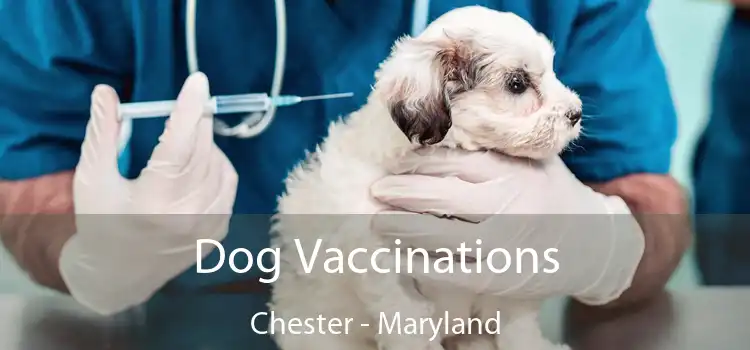 Dog Vaccinations Chester - Maryland