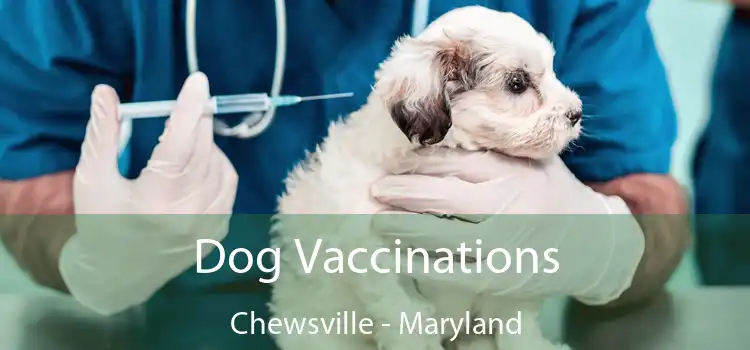 Dog Vaccinations Chewsville - Maryland