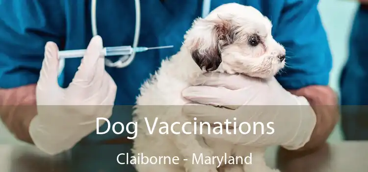 Dog Vaccinations Claiborne - Maryland