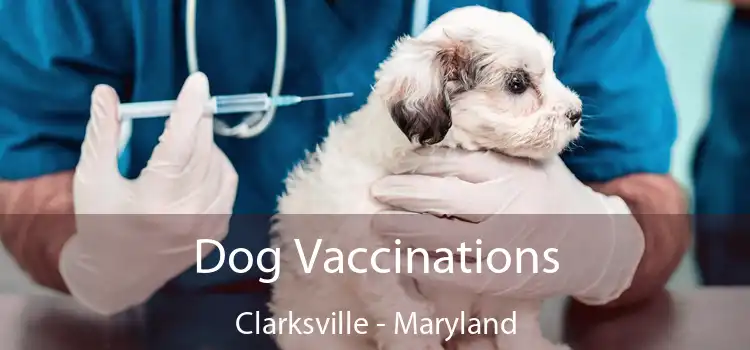 Dog Vaccinations Clarksville - Maryland