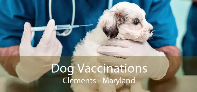 Dog Vaccinations Clements - Maryland