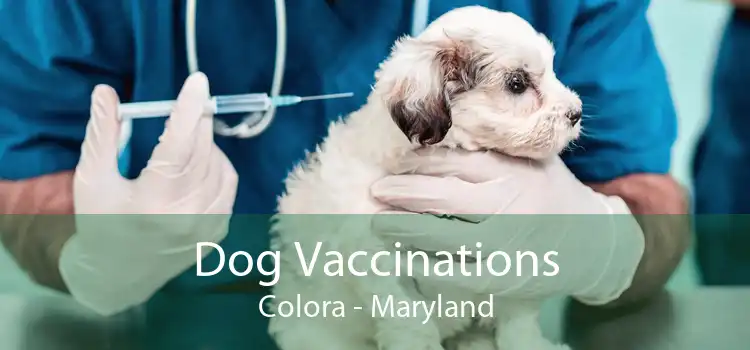Dog Vaccinations Colora - Maryland
