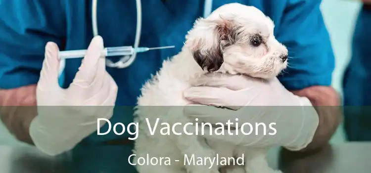 Dog Vaccinations Colora - Maryland