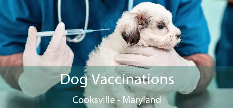 Dog Vaccinations Cooksville - Maryland