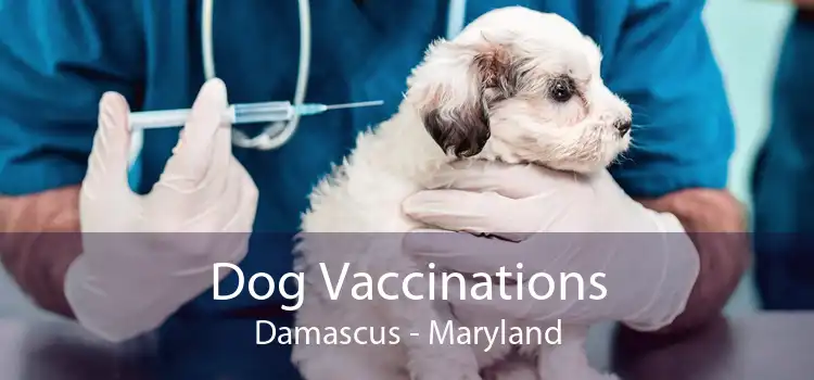 Dog Vaccinations Damascus - Maryland