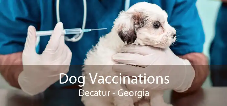 Dog Vaccinations Decatur - Georgia