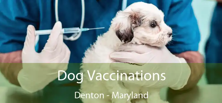 Dog Vaccinations Denton - Maryland