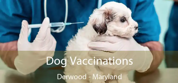 Dog Vaccinations Derwood - Maryland