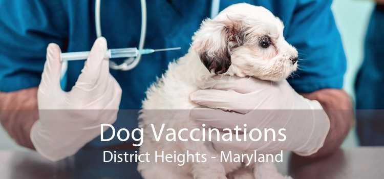 Dog Vaccinations District Heights - Maryland