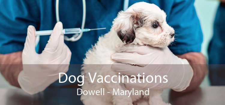 Dog Vaccinations Dowell - Maryland