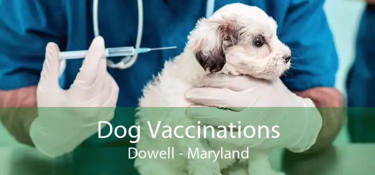 Dog Vaccinations Dowell - Maryland