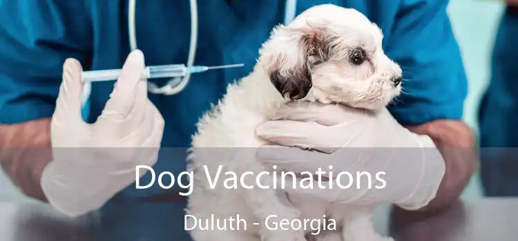 Dog Vaccinations Duluth - Georgia