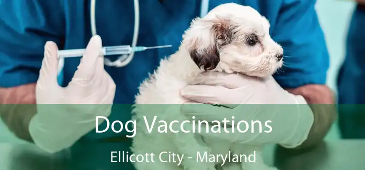 Dog Vaccinations Ellicott City - Maryland