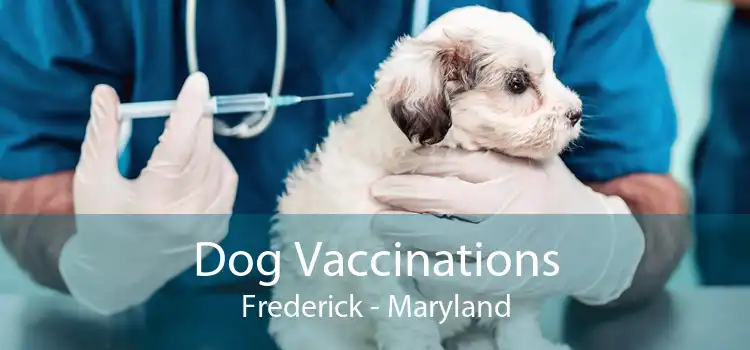 Dog Vaccinations Frederick - Maryland
